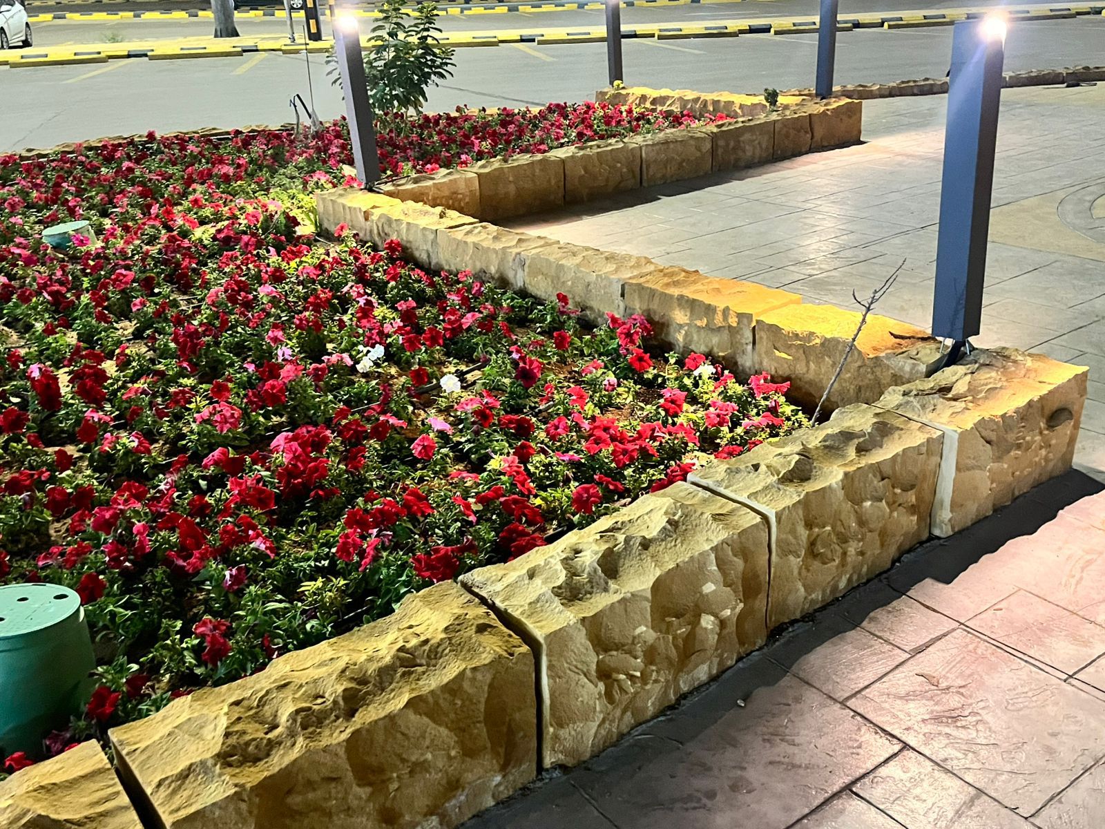 Green Riyadh 1