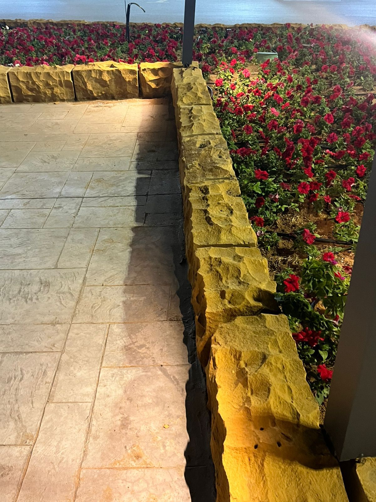 Green Riyadh 2